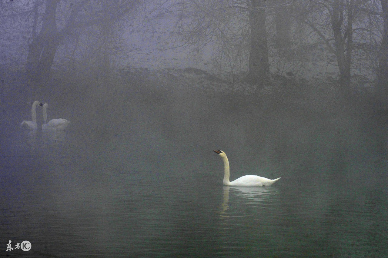 民间俗语看雾识天气,老祖宗留下来的俗语看雾识天气