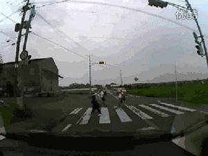 教学生认识交通标志,认识交通安全标志