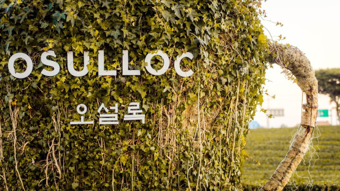 跨国恋引发的隐情,一段跨国恋