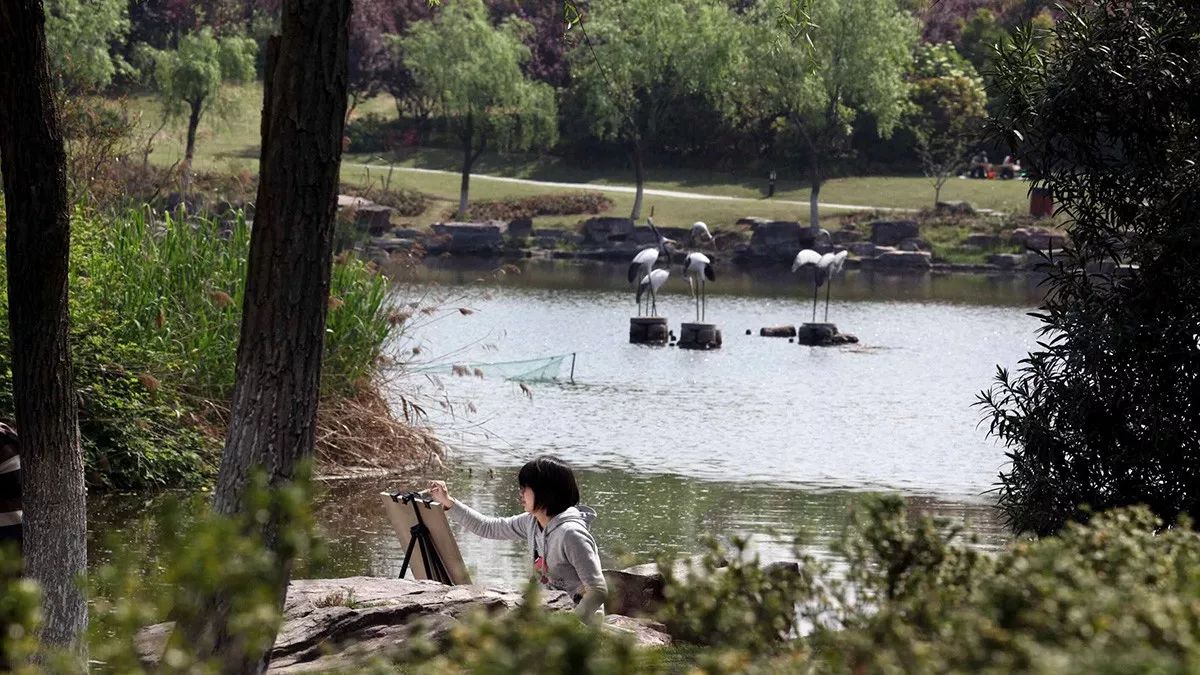 好天气不出门晒太阳,大好的天气不出门