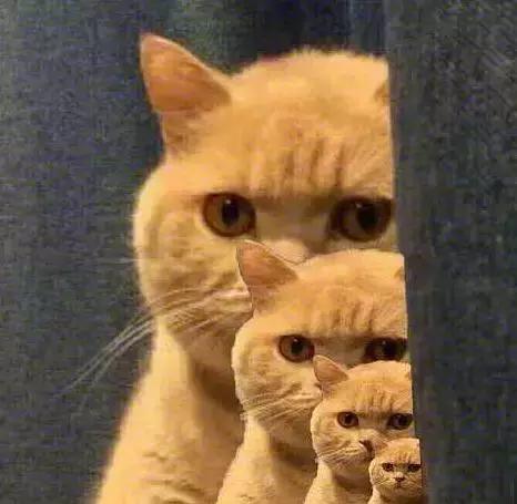 妆前保湿到什么程度可以涂隔离,妆前和隔离是一回事吗