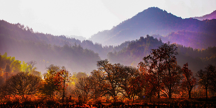 黄冈,这里不只有学霸和试卷