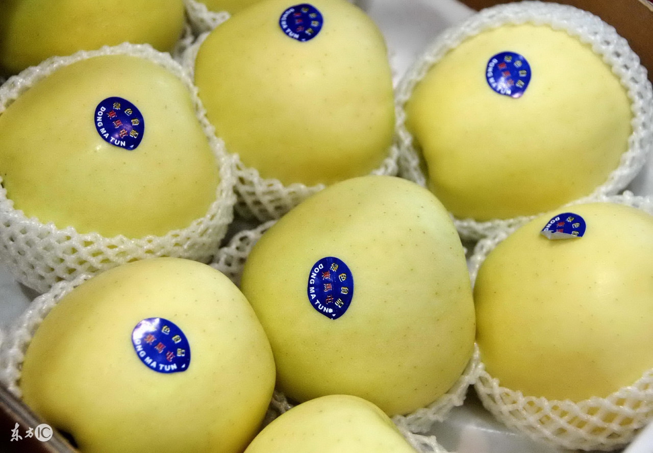 国光苹果是青苹果吗,国光苹果是引进日本品种吗