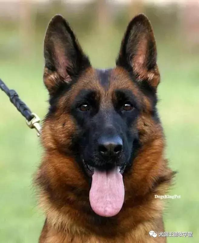 寰峰浗stg44绐佸嚮姝ユ灙,寰峰浗sg4椹厠