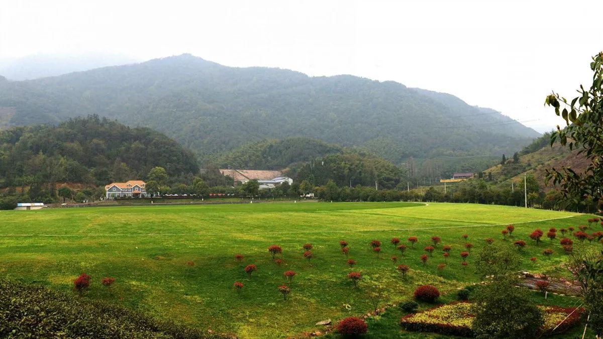 好天气不出门晒太阳,大好的天气不出门