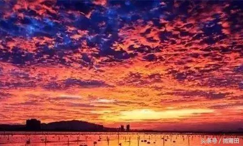 这是我的家乡闽南语,这是我的家乡全部视频