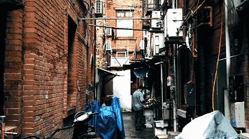 对上海这座城市的感悟,上海谢谢