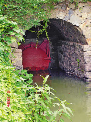 中国有哪些逆天的*物文**?