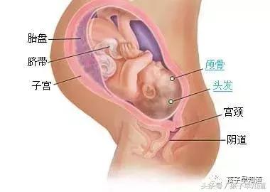 天使降临的孕10月-憧憬一下第一次见面的场景吧