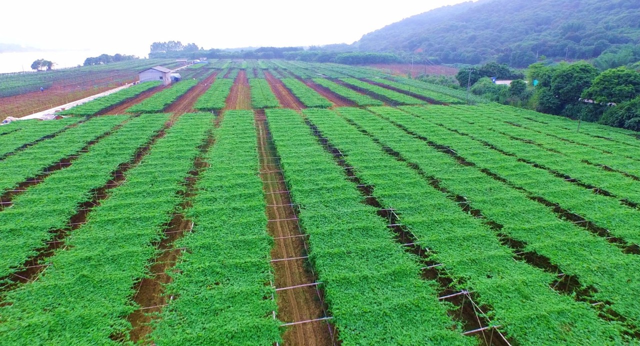 铁路镇最近发展,铁路小镇最新规划图