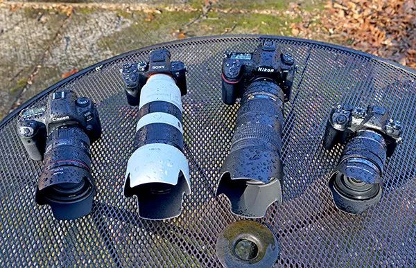 尼康d850和佳能5d4和索尼a7s2,佳能5dmarkiv与尼康d850