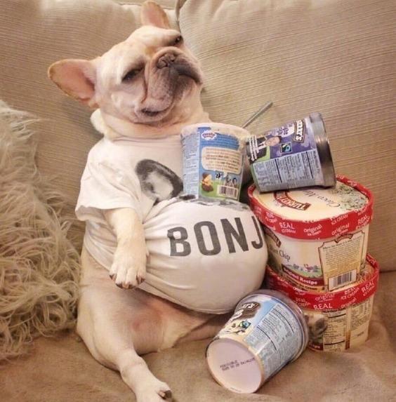 绉戝鍋ュ悍楂樻晥鍏荤墰鏂规硶,鍋ュ悍绉戝鍏荤墰