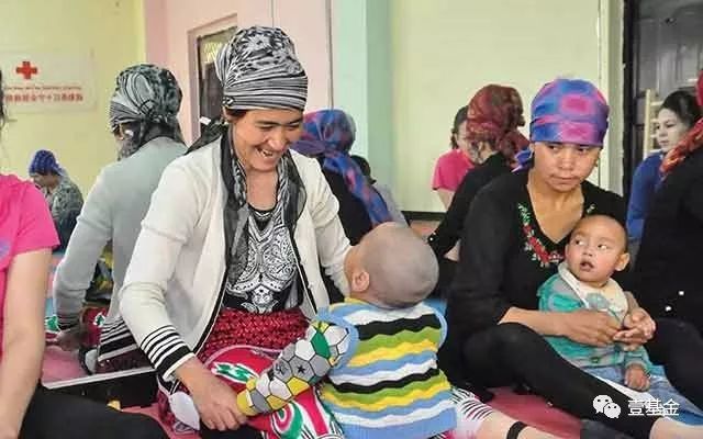 壹基金主要成就,壹基金的基本情况