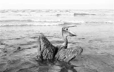 船溢油的后果,海上溢油事故原因分析