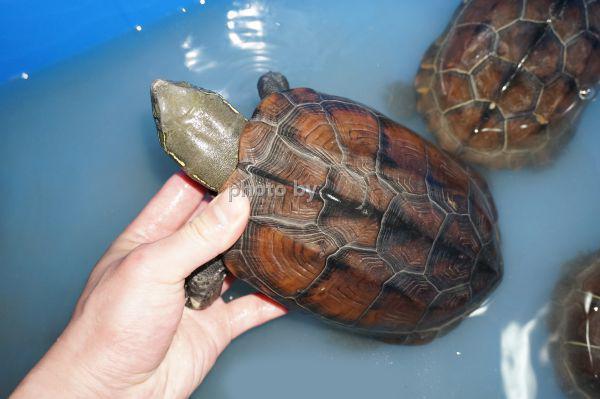 每天有三小时空闲时间做什么兼职,下班后兼职做什么赚钱