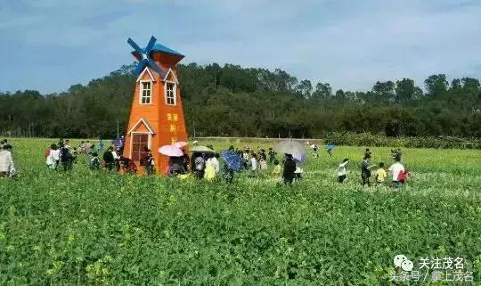 高州各镇历史来历,高州市有多少个镇街