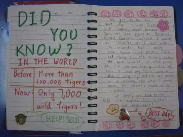 英语“听说读写”详细解读：掌握好方法，别让孩子的努力成为无用功！