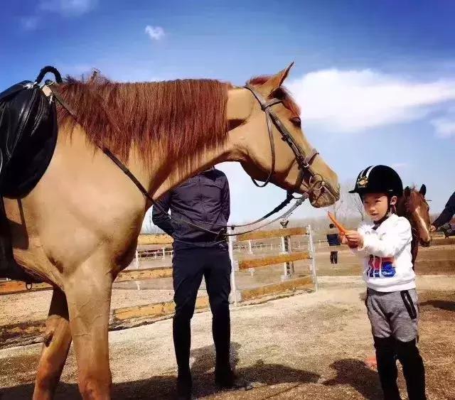 骑马闯天涯,骑马闯荡天涯