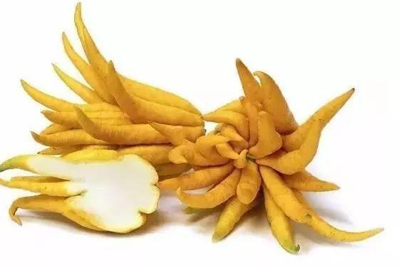 最奇葩的六种水果,你没吃过的十种奇葩水果