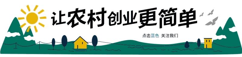 闲鱼年货节来啦!助农扶农,一起过个好年!