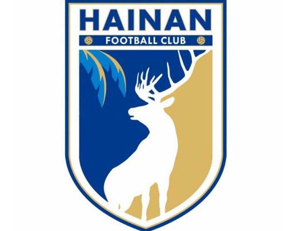 中国足球队徽简介,中国足球队历年队徽变化