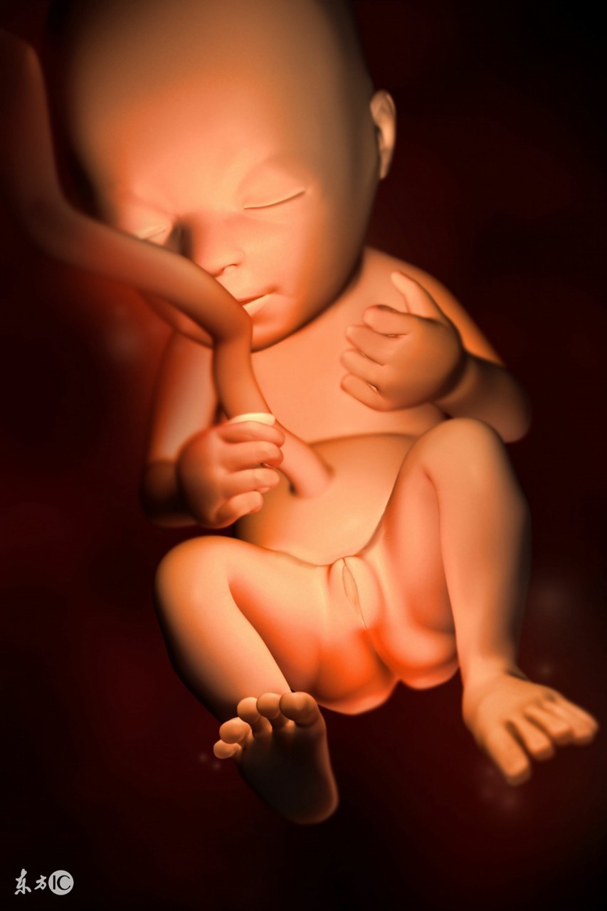 胎儿宫内缺氧能坚持多久,胎儿宫内缺氧容易造成脑缺氧吗