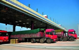 高风险的同时伴随着高回报,高风险高回报低投入