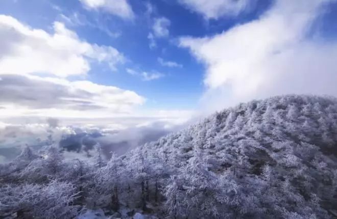 寒气席卷、叶汽成霜……陕西6处大美雾凇奇景上线！