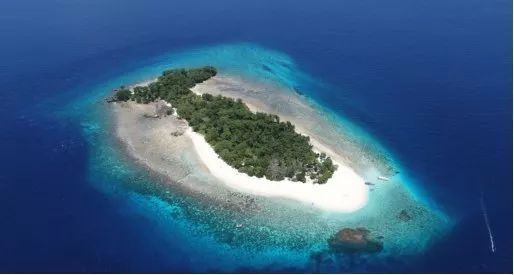 美娜多潜入深圳的海洋,新晋网红岛视频