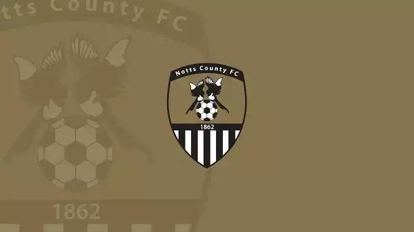 海鸥老鹰孔雀,海鸥老鹰