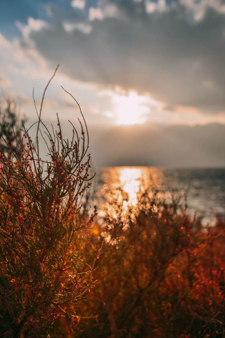 大理有哪几个景很美,大理的自然风光有哪些