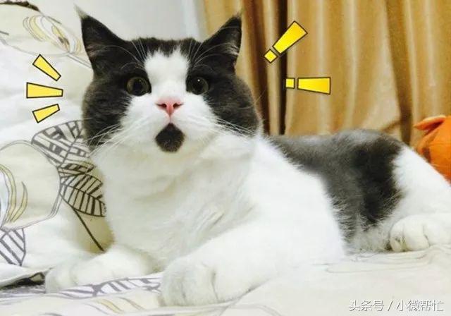 小微帮忙：所有河南人，以后就是“五险二金”了！以下东西免费~