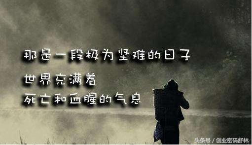 创业就是为别人而活,创业就是做自己