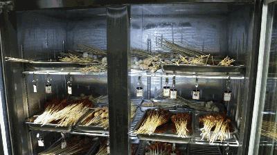 都江堰十大串串,水灵妹带你玩转都江堰