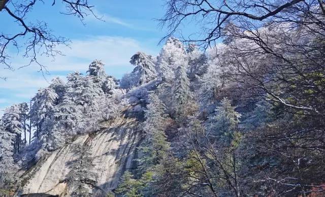 寒气席卷、叶汽成霜……陕西6处大美雾凇奇景上线！