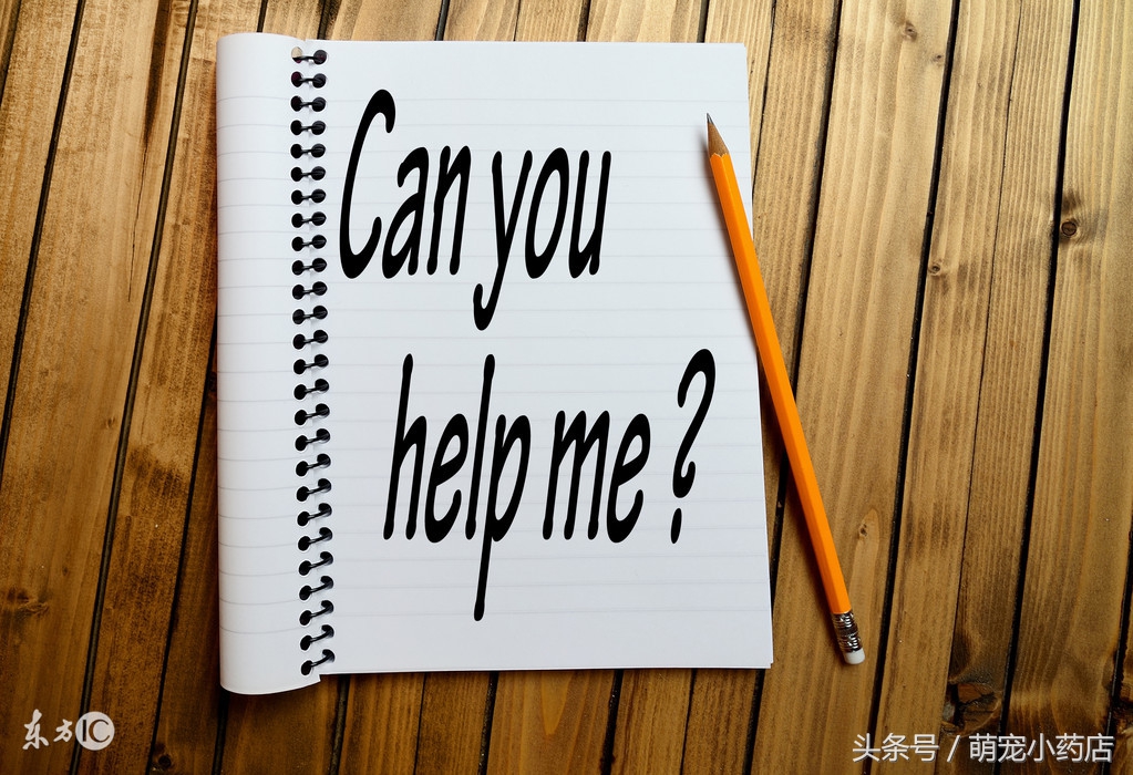 如果养狗一年能花多少钱,如果养狗你会选哪一只