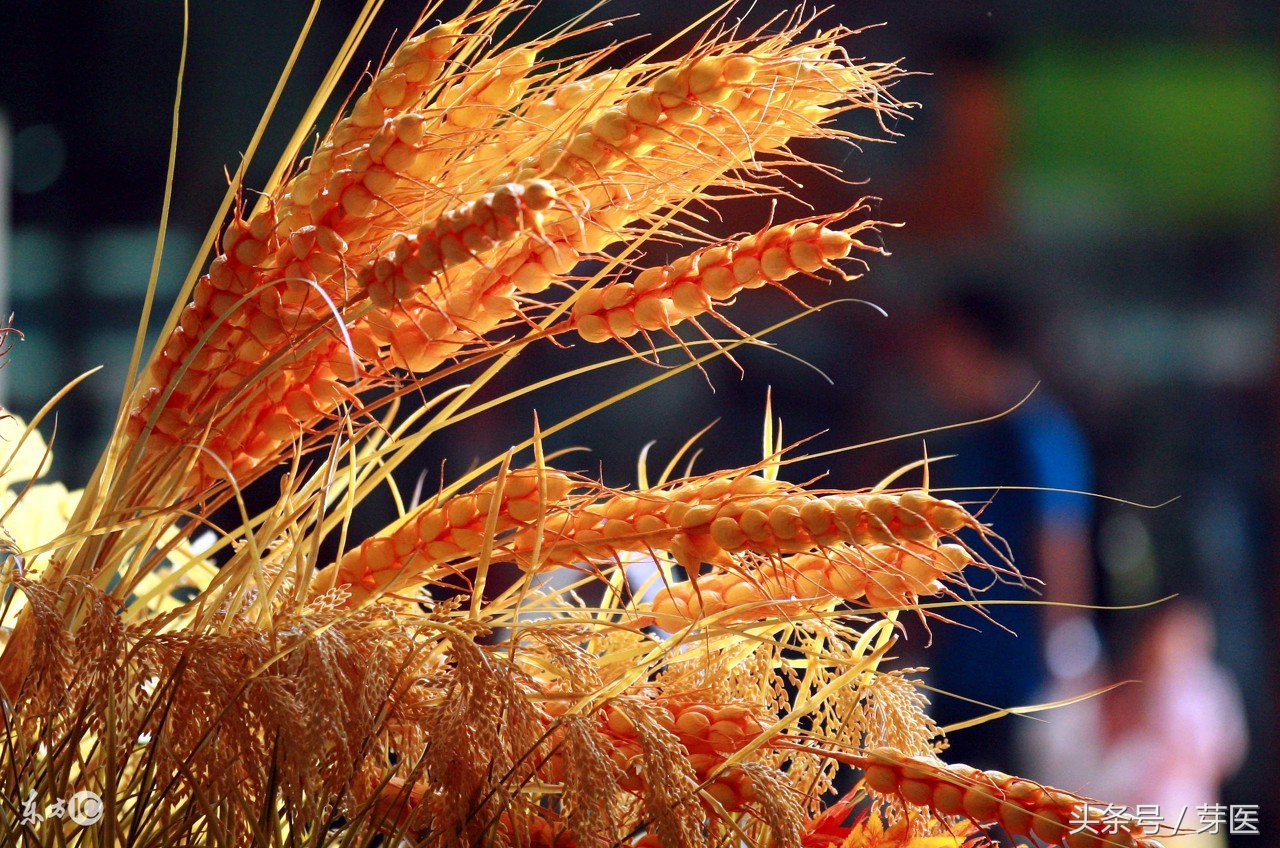 “元气大伤”所说的元气是什么？大伤之后还能补上吗？