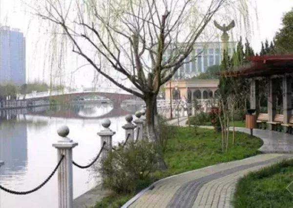 上海100个公园图片,上海有哪些免费的国家级公园