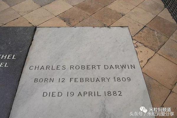 亲子游出境自由行,亲子游建议去的十个城市