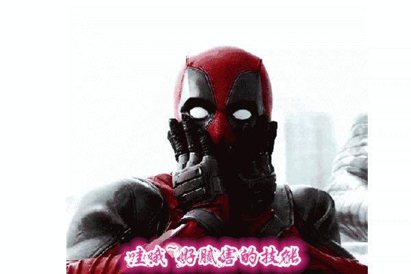 荷兰猪的牙有几个,荷兰猪的牙齿啥颜色