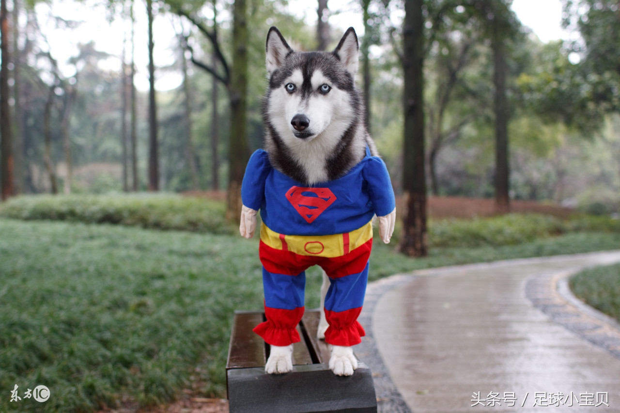 韩乔生经典语录,韩乔生足球解说经典语录视频