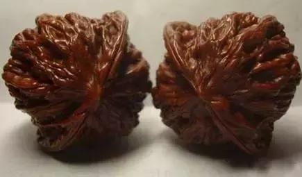 文玩核桃品种图鉴大全前十名,文玩核桃手串品种大全