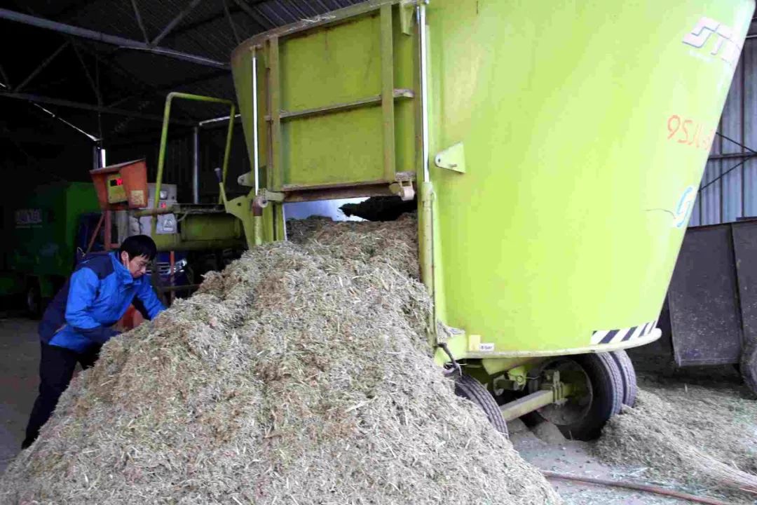 奈曼旗新闻最新今天,奈曼2018.02.14新闻