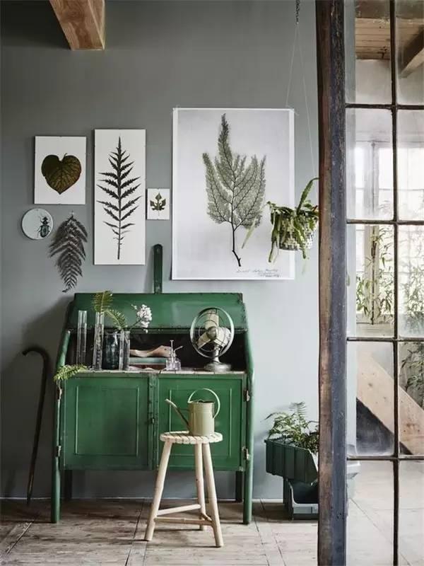 学做家庭植物微景观,做植物标本能学到什么