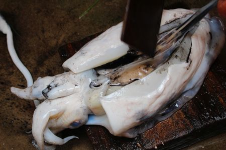 冬夜为阴中之阴之阴墨鱼养的就是身体的“血”和“阴”