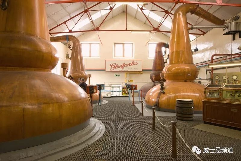 511.19英镑成就传奇，一个家族的辉煌与坚持