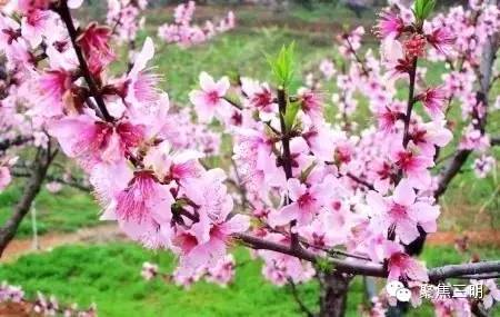 2018涓夋槑鏃呰鏃ュ巻,涓夋槑鏃呮父鏀荤暐鎬荤粨