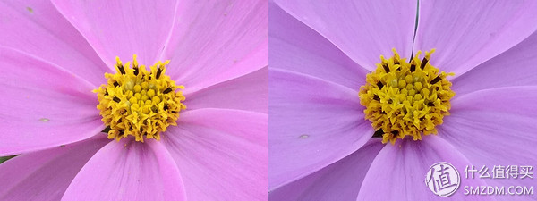 htcone和a9,htconea9和a9w