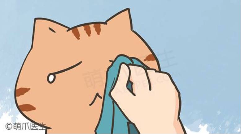 猫咪眼睛有一只雾蒙蒙的怎么治疗,猫咪生病眼睛总是睁着怎么办