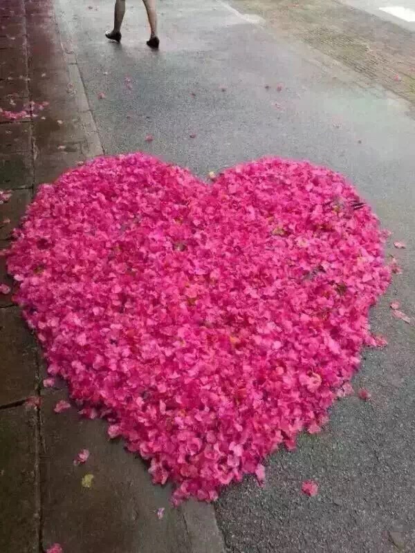 昨夜的狂风完整版,昨夜的狂风原版